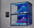 Premium Schuhboxen Transparent (Set)