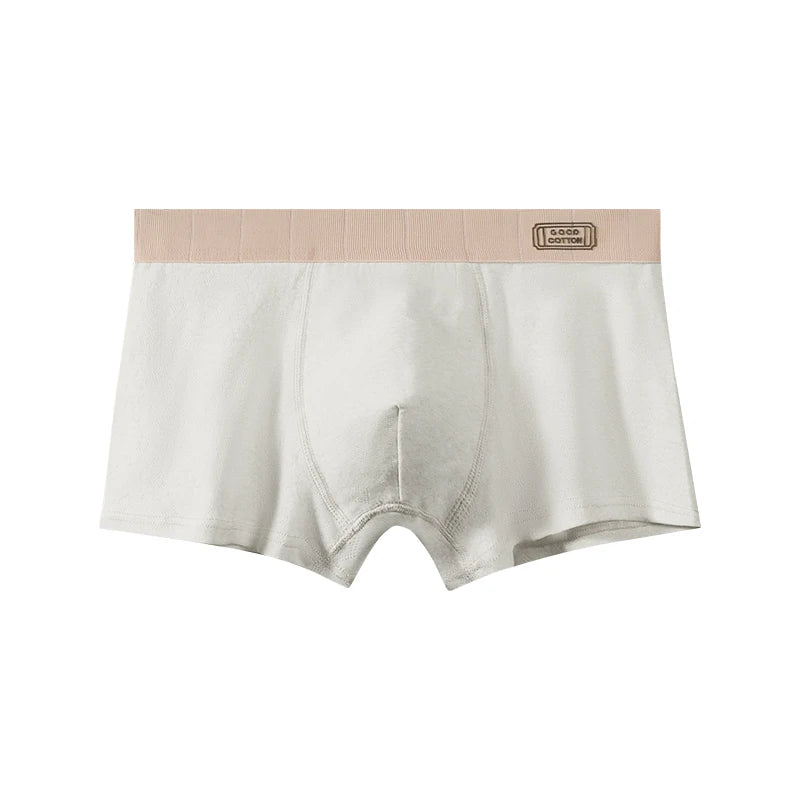 2026 New Men's Boxer Briefs, Antibacterial Breathable Summer Underwear for Teen Boys