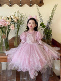 Princess Girls Autumn Dress Children's Birthday Dress Romantic Glittering Princess Elegant Dress Multicolor
