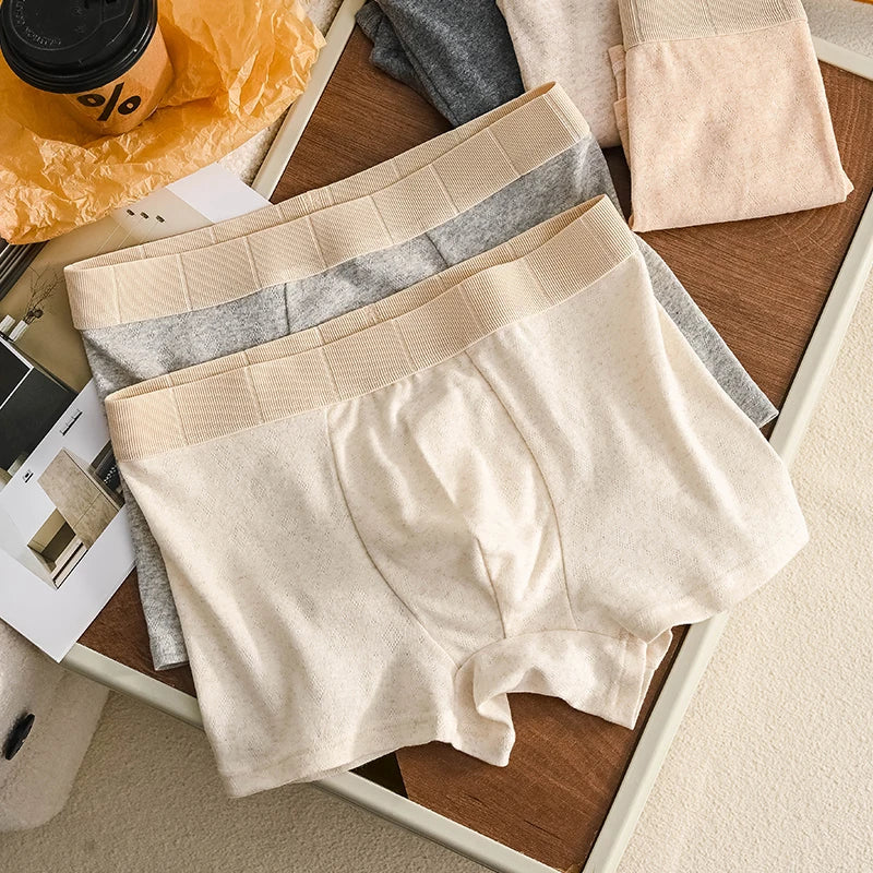 Men's Boxer Briefs Underwear Boxer Male Men's Square Panties Boxers and Underpants Man Underwear Hot Short Pants and Shorts Set