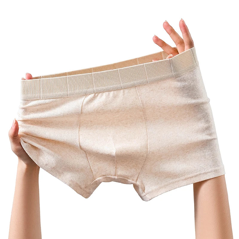 Men's Boxer Briefs Underwear Boxer Male Men's Square Panties Boxers and Underpants Man Underwear Hot Short Pants and Shorts Set